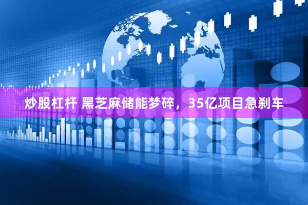 炒股杠杆 黑芝麻储能梦碎，35亿项目急刹车