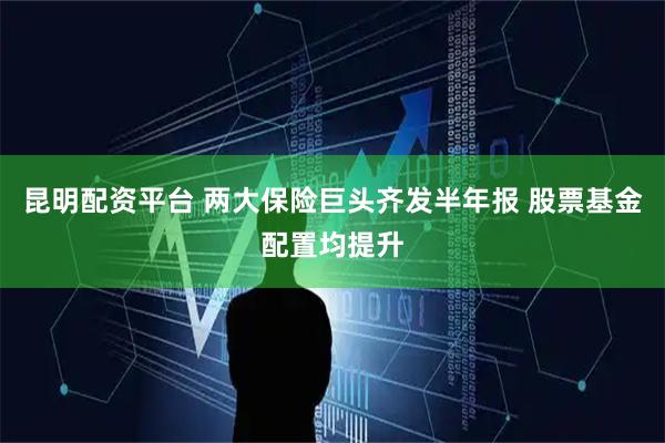 昆明配资平台 两大保险巨头齐发半年报 股票基金配置均提升
