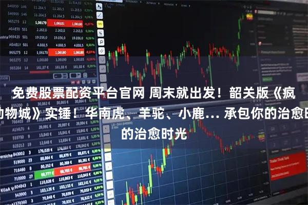 免费股票配资平台官网 周末就出发！韶关版《疯狂动物城》实锤！华南虎、羊驼、小鹿… 承包你的治愈时光